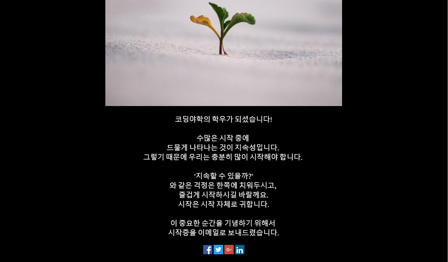 코딩야학